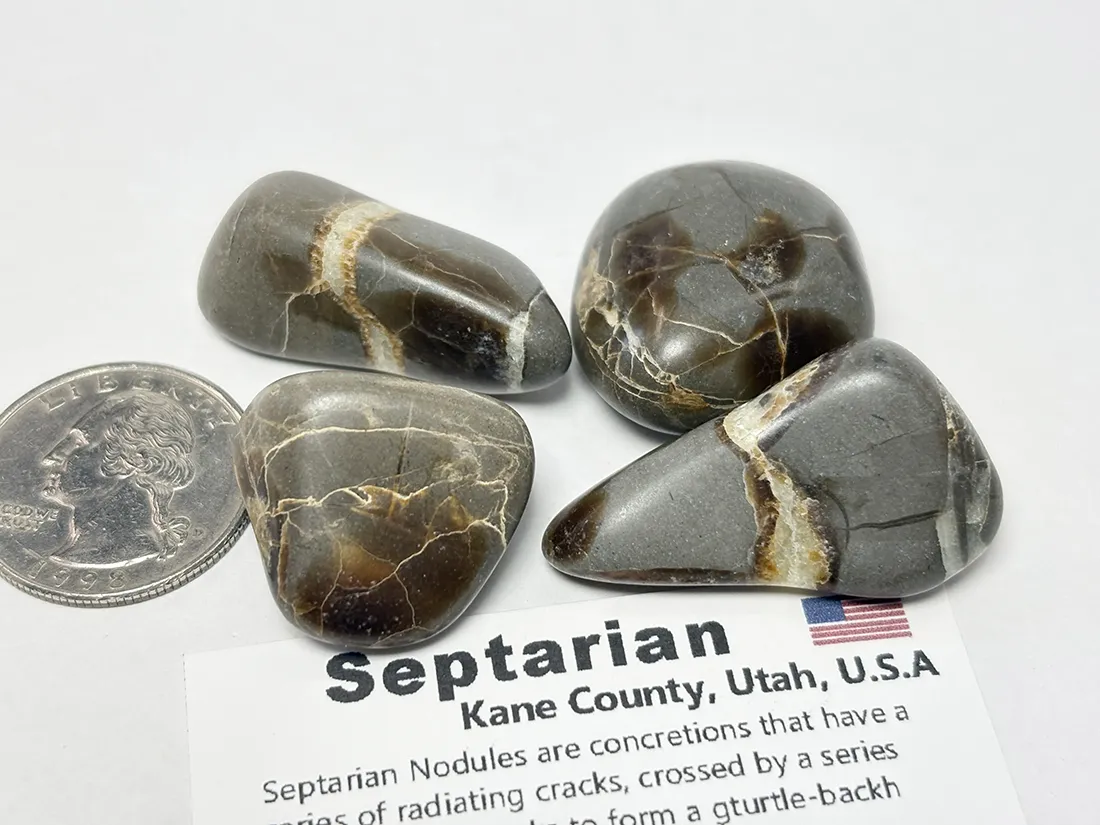 アメリカ・ユタ州産 セプタリアン タンブル 4個セット /Septarian