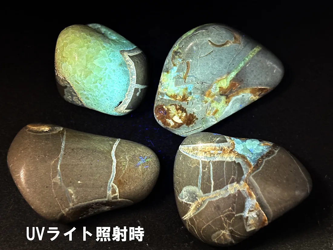 アメリカ・ユタ州産 セプタリアン タンブル 4個セット /Septarian