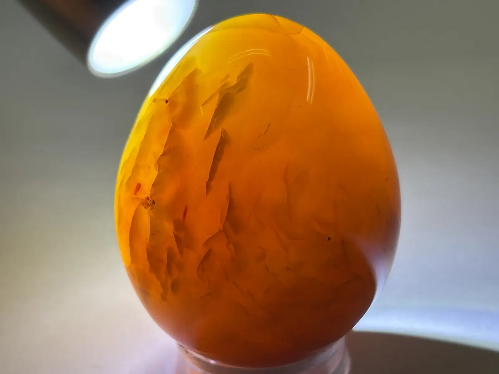 CARNELIAN 直筆サイン 1999年の当時もの カーネリアン CARNELIAN 直筆