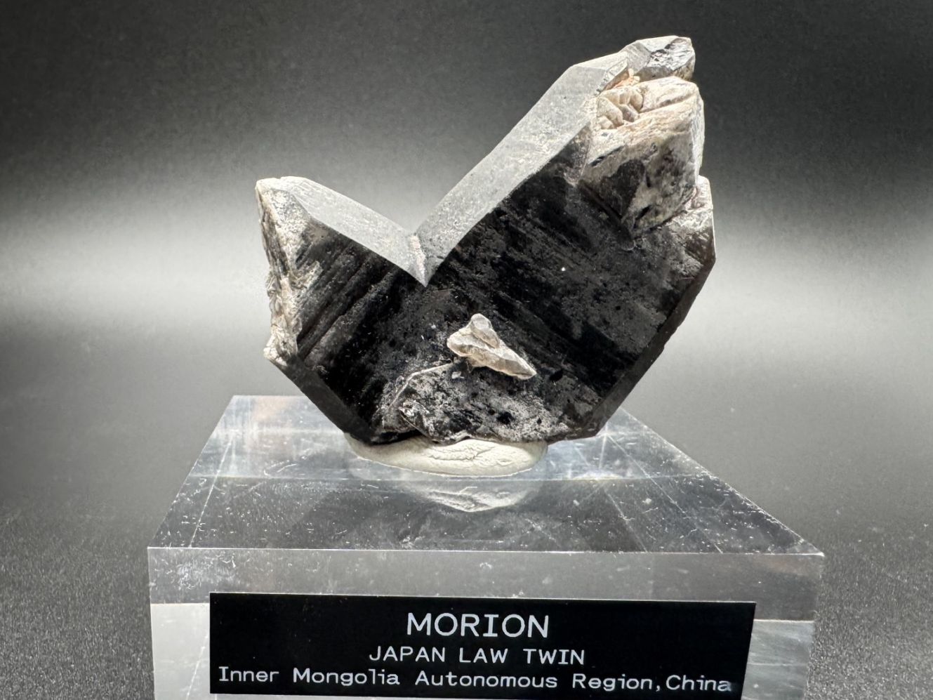 【レア形状】内モンゴル産モリオン 日本式双晶 / Morion (Japan Law Twin)