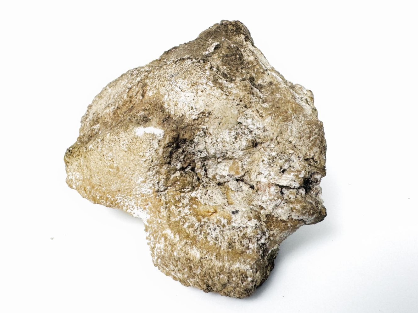 玉川温泉産 北投石 (含鉛重晶石) / Hokutolite