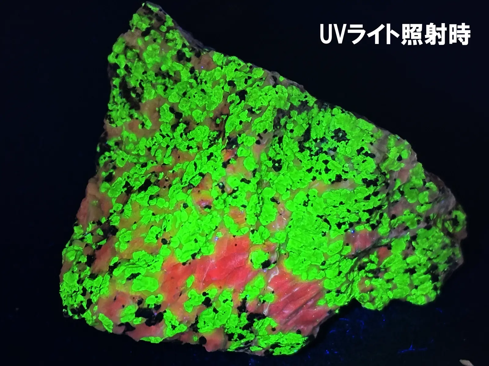 (蛍光) ニュージャージー州産 ウィレマイト with  ジンカイト・カルサイト  / Willemite with Zincite Calcite