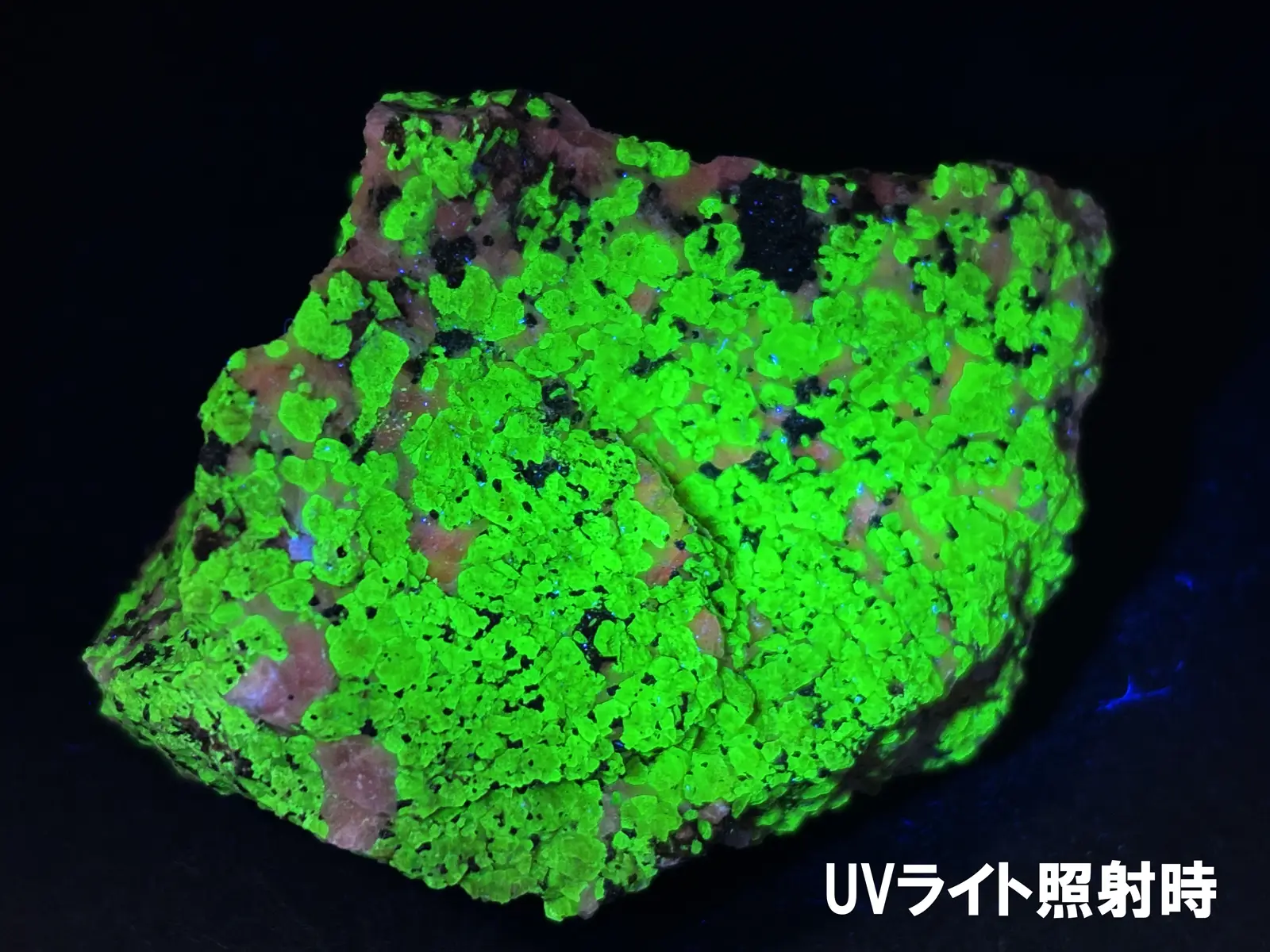 (蛍光) ニュージャージー州産 ウィレマイト with  ジンカイト・カルサイト  / Willemite with Zincite Calcite