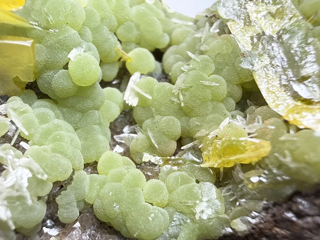 オハエラ鉱山産 ブドウ状ミメタイト with ウルフェナイト / Green Botryoidal Mimetite with Wulfenite