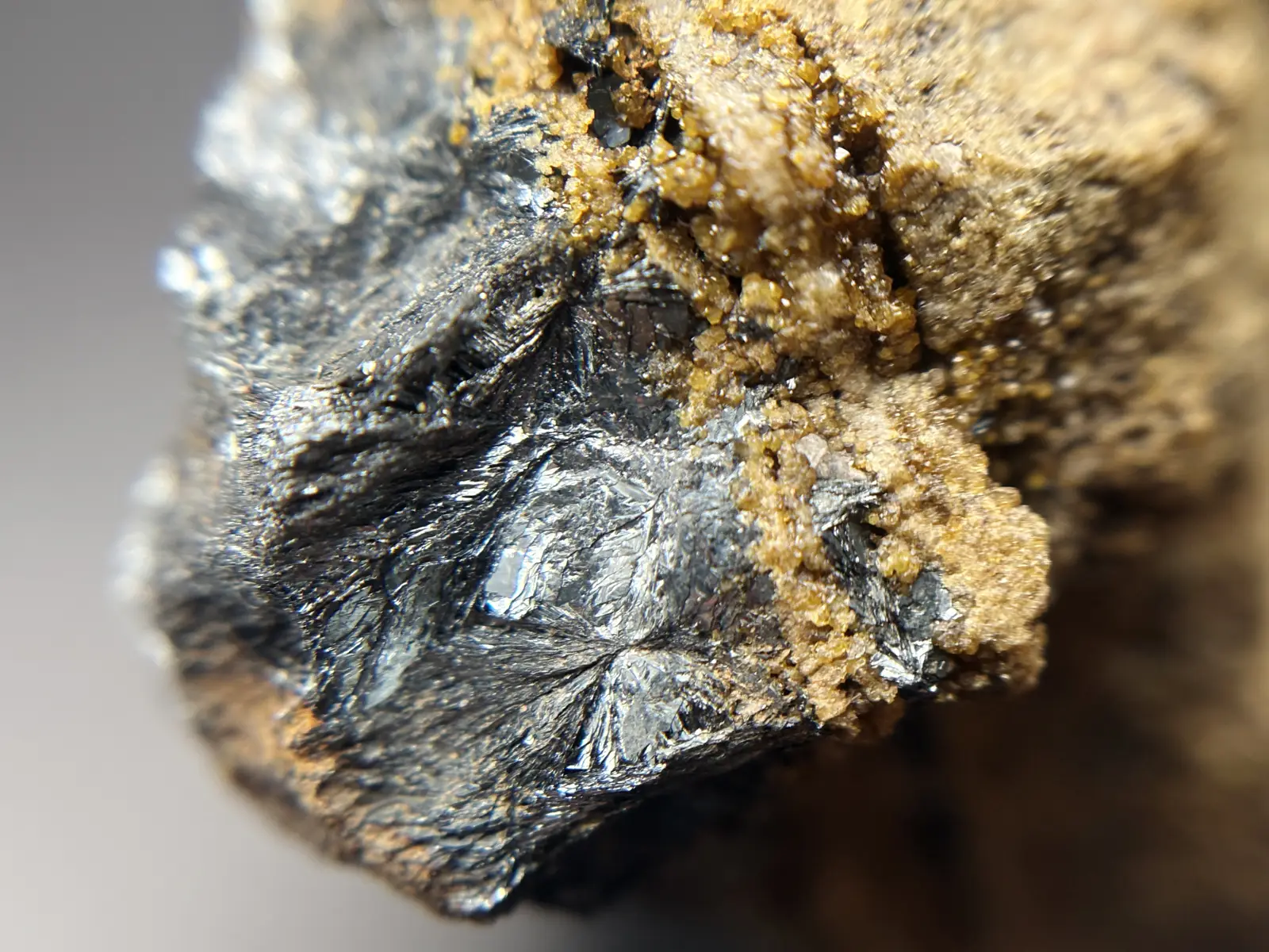 和賀仙人鉱山産 鏡鉄鉱 (赤鉄鉱)with灰鉄柘榴石  / Specularite with Andradite