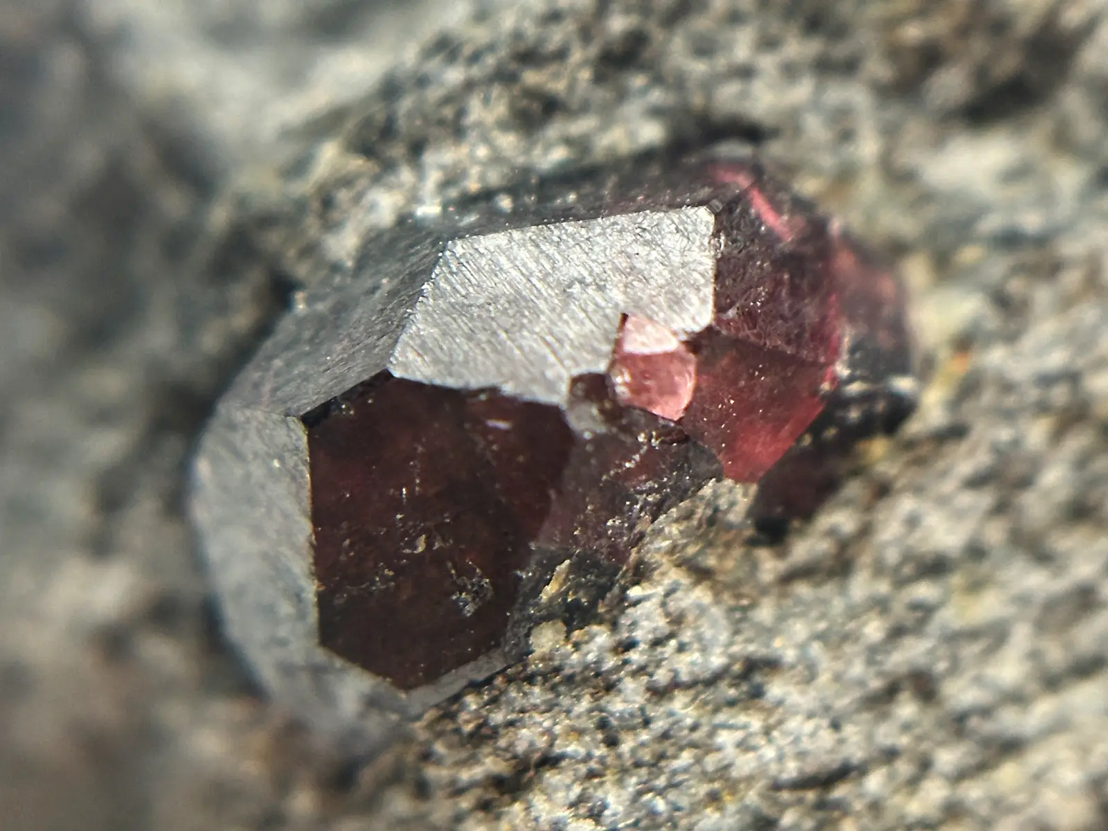 アラスカ州産 アルマンディンガーネット (母岩付き)/ Almandine Garnet