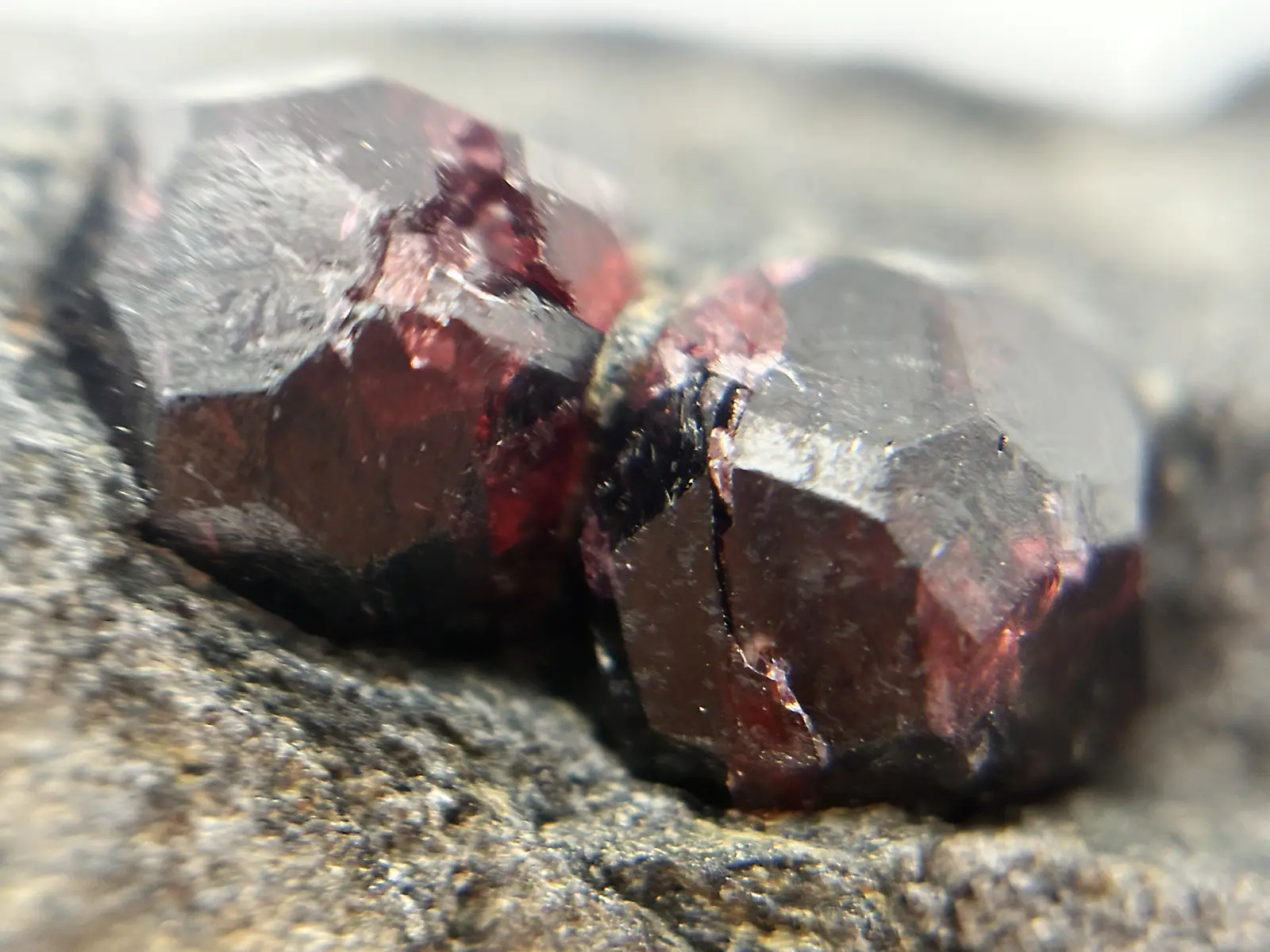 アラスカ州産 アルマンディンガーネット (母岩付き)/ Almandine Garnet