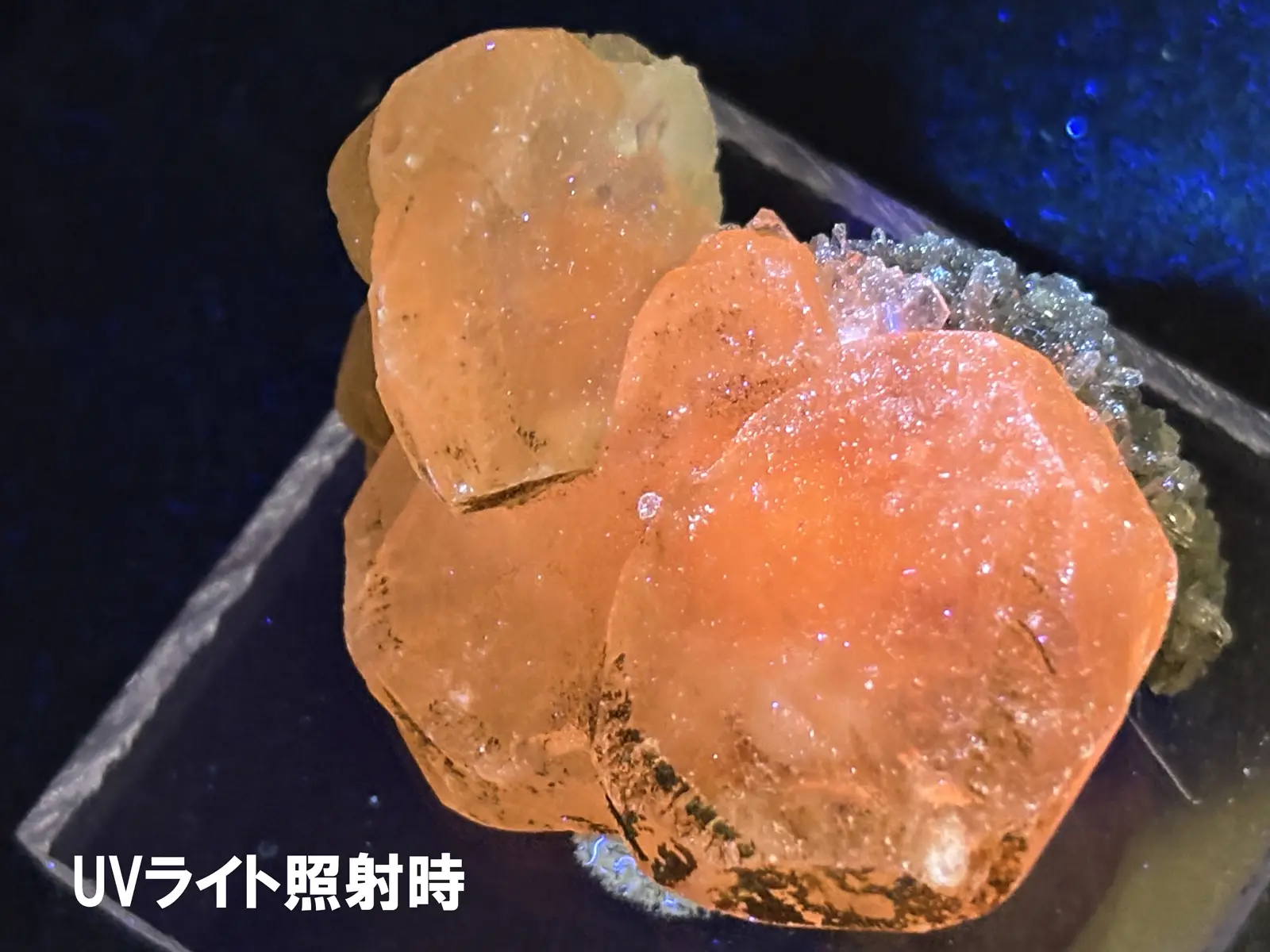岐阜県吉城郡神岡鉱山産 水晶＆方解石/ Quartaz＆Calcite