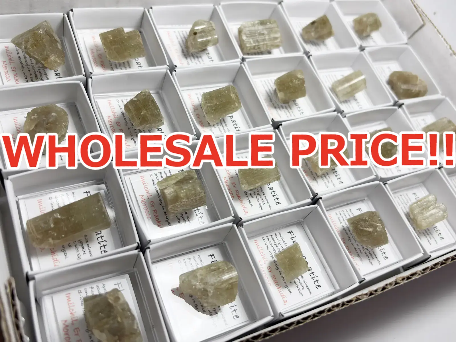 モロッコ産 イエロー アパタイト 24個セット まとめ売り 【ホールセールプライス】/ Fluorapatite