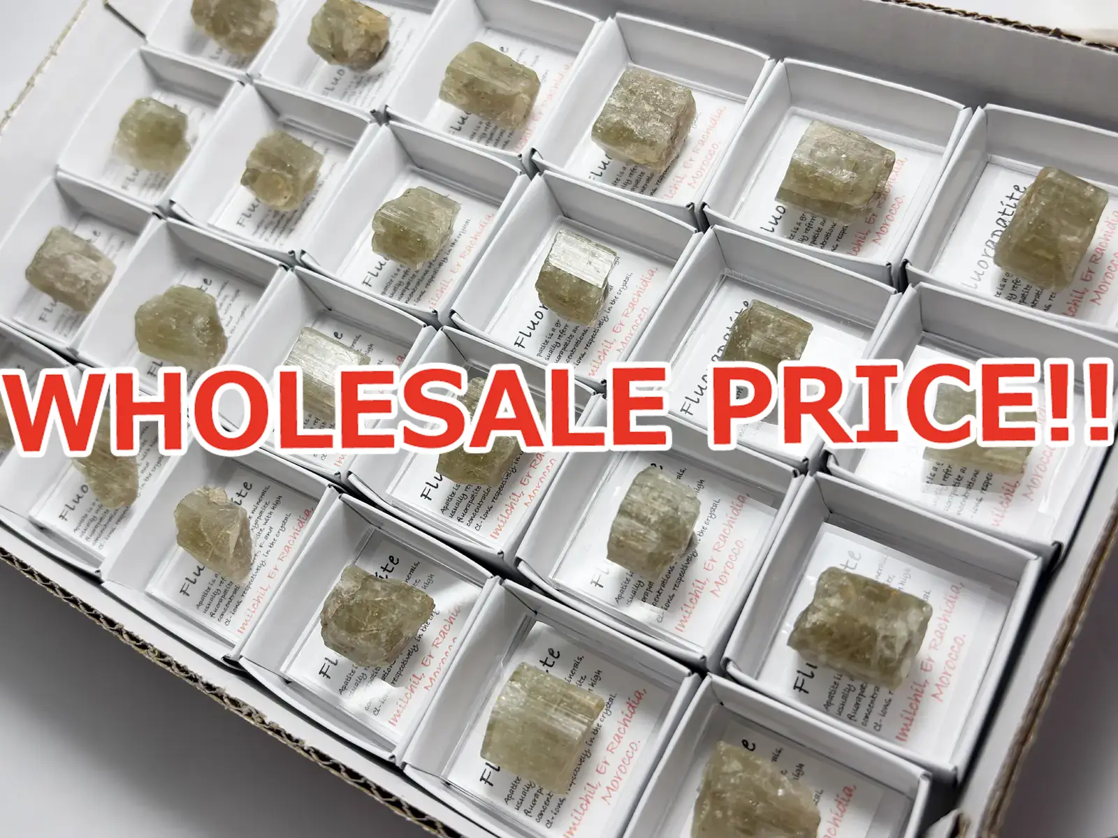 モロッコ産 イエロー アパタイト 24個セット まとめ売り 【ホールセールプライス】/ Fluorapatite