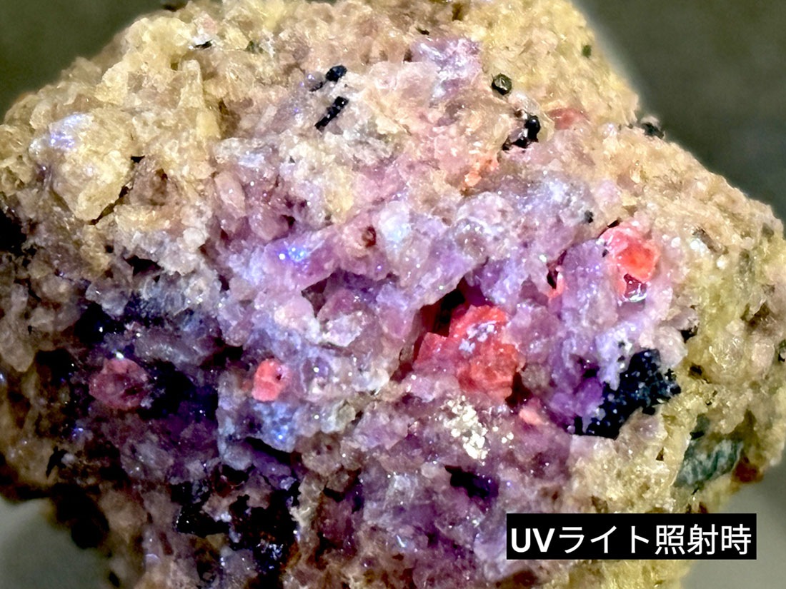 アウイン 原石 蛍光 ドイツ産 アウイン 藍方石 Hauyne 宝石質 ドイツ産