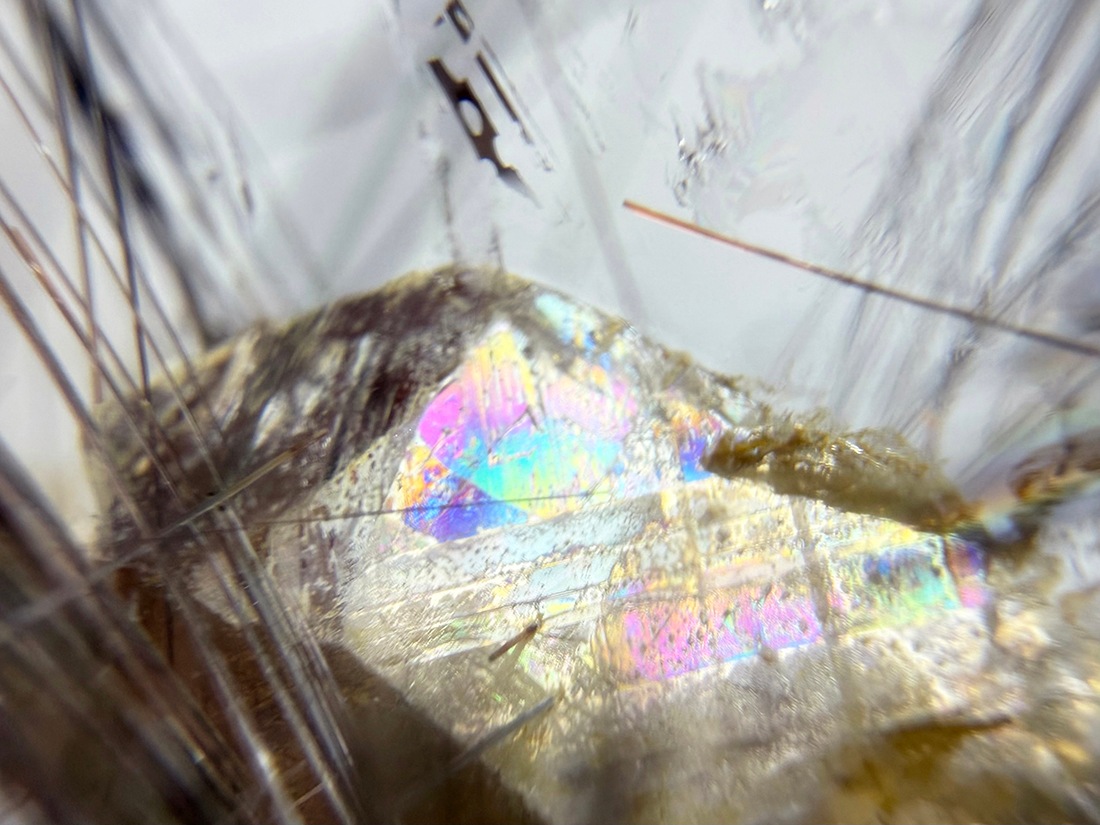 レア】 クォーツ in ルチルクォーツ (貫入水晶) / Rutilated Quartz in