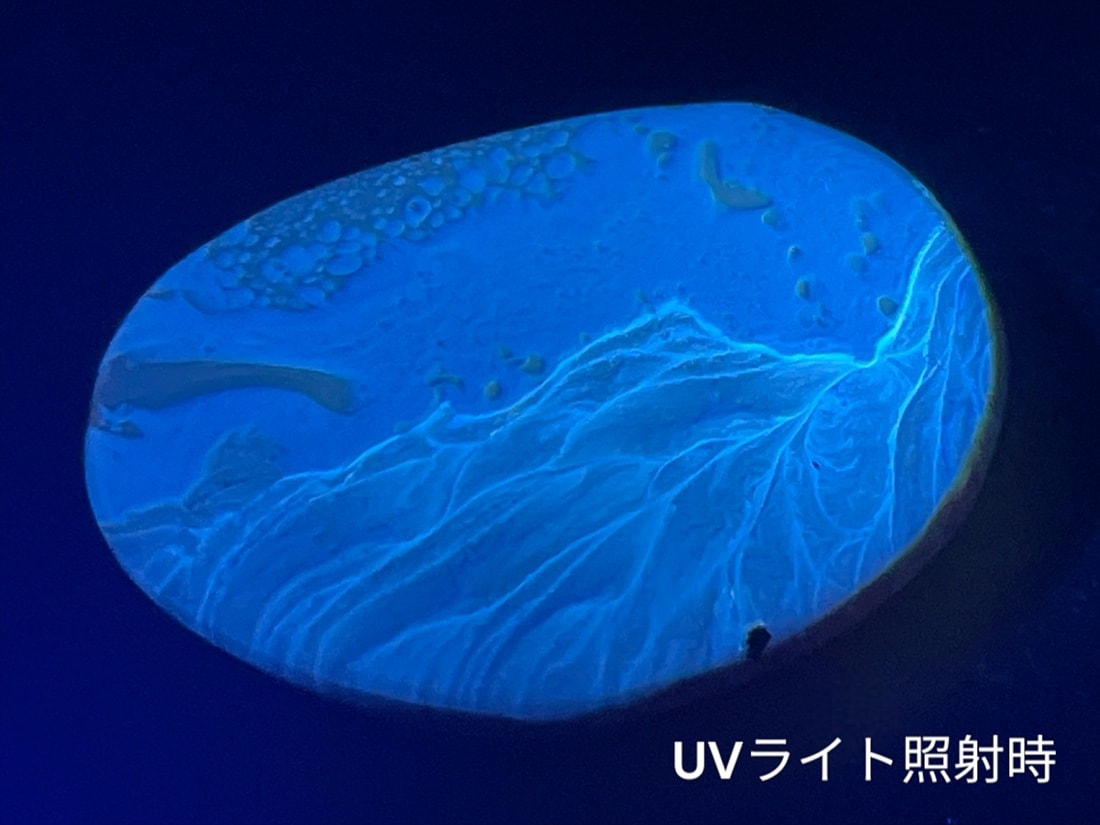 インドネシア スマトラ産 ブルー アンバー タンブル