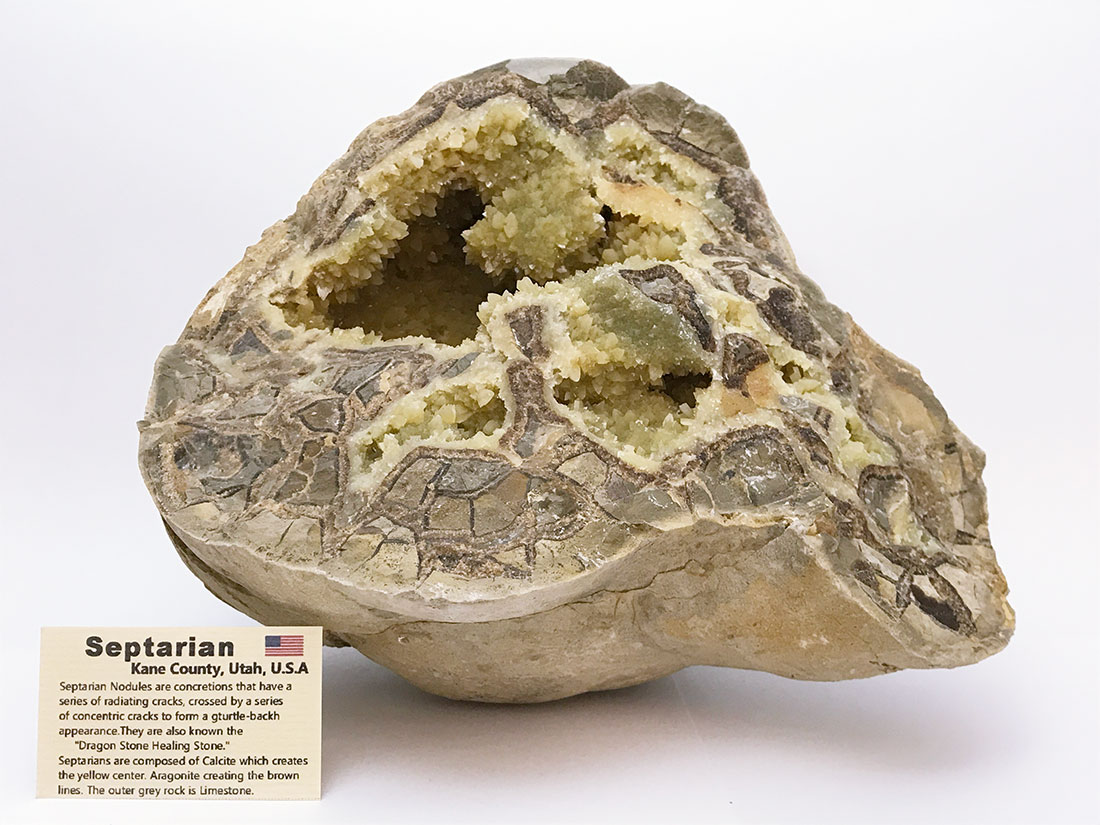 ユタ州産セプタリアン(亀甲石)/Septarian