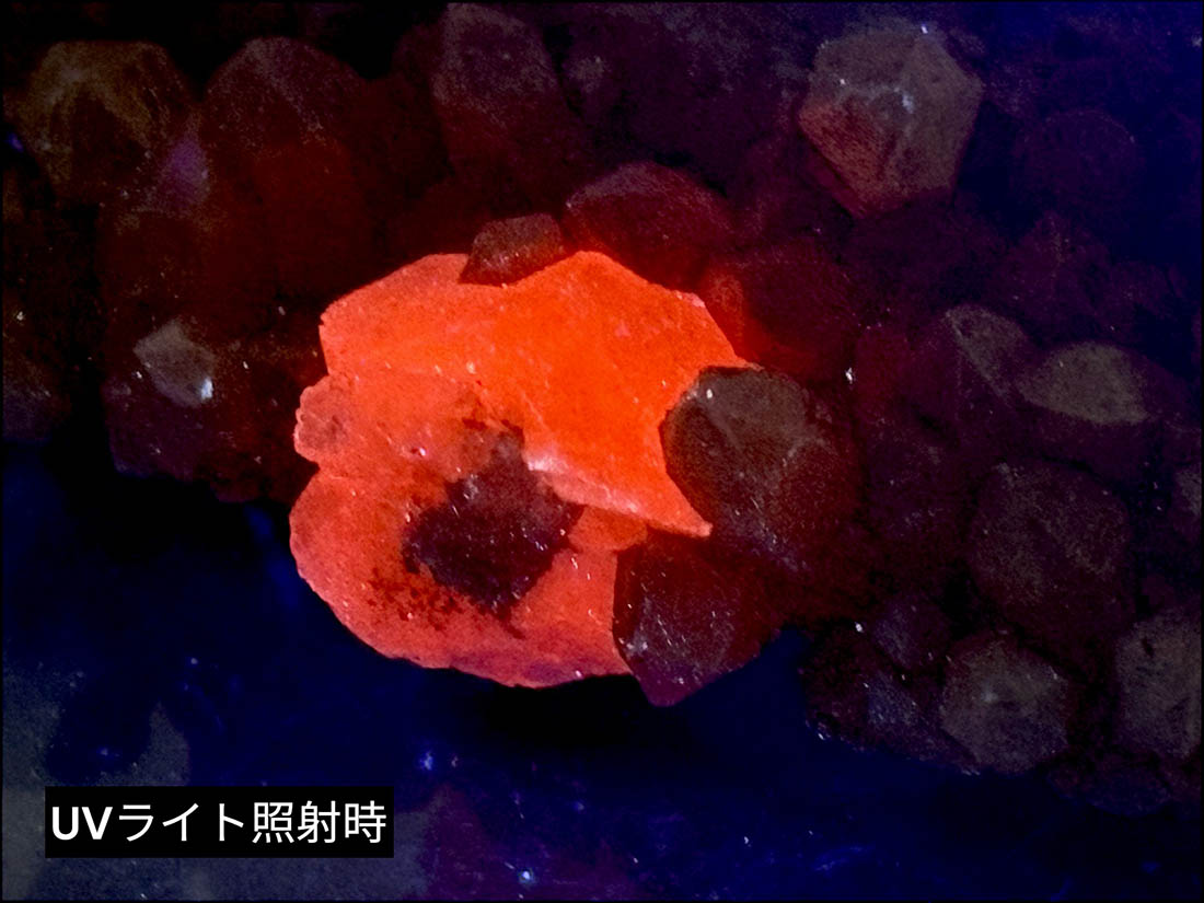 岐阜県吉城郡神岡鉱山産 カルサイト ＆ クォーツ ( 方解石 水晶