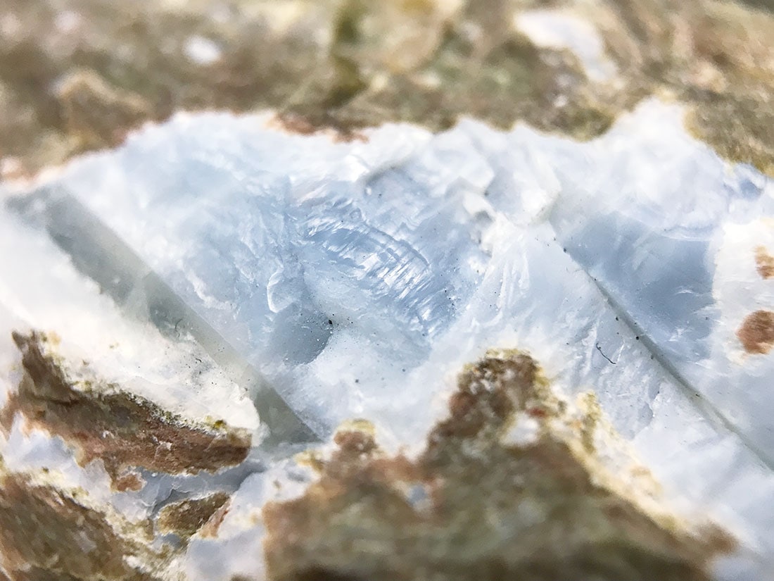 愛知県新城市棚山産 オパール