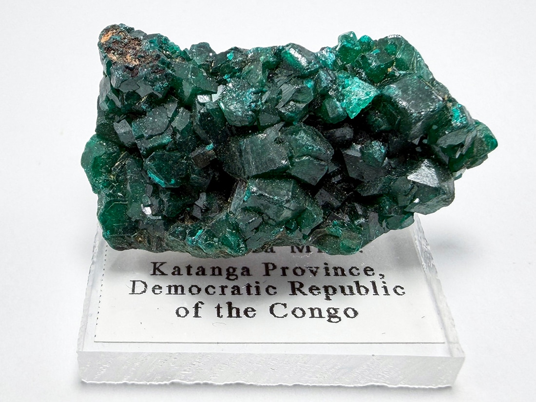 コンゴ民主共和国産 ダイオプテーズ (翠銅鉱) / Dioptase
