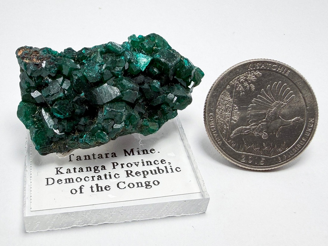 コンゴ民主共和国産 ダイオプテーズ (翠銅鉱) / Dioptase