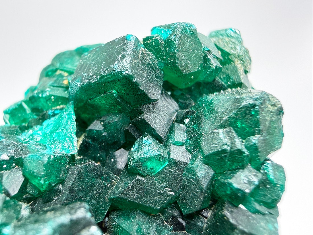 コンゴ民主共和国産 ダイオプテーズ (翠銅鉱) / Dioptase