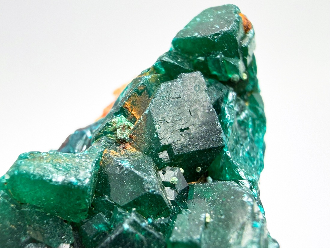 コンゴ民主共和国産 ダイオプテーズ (翠銅鉱) 母岩付き / Dioptase
