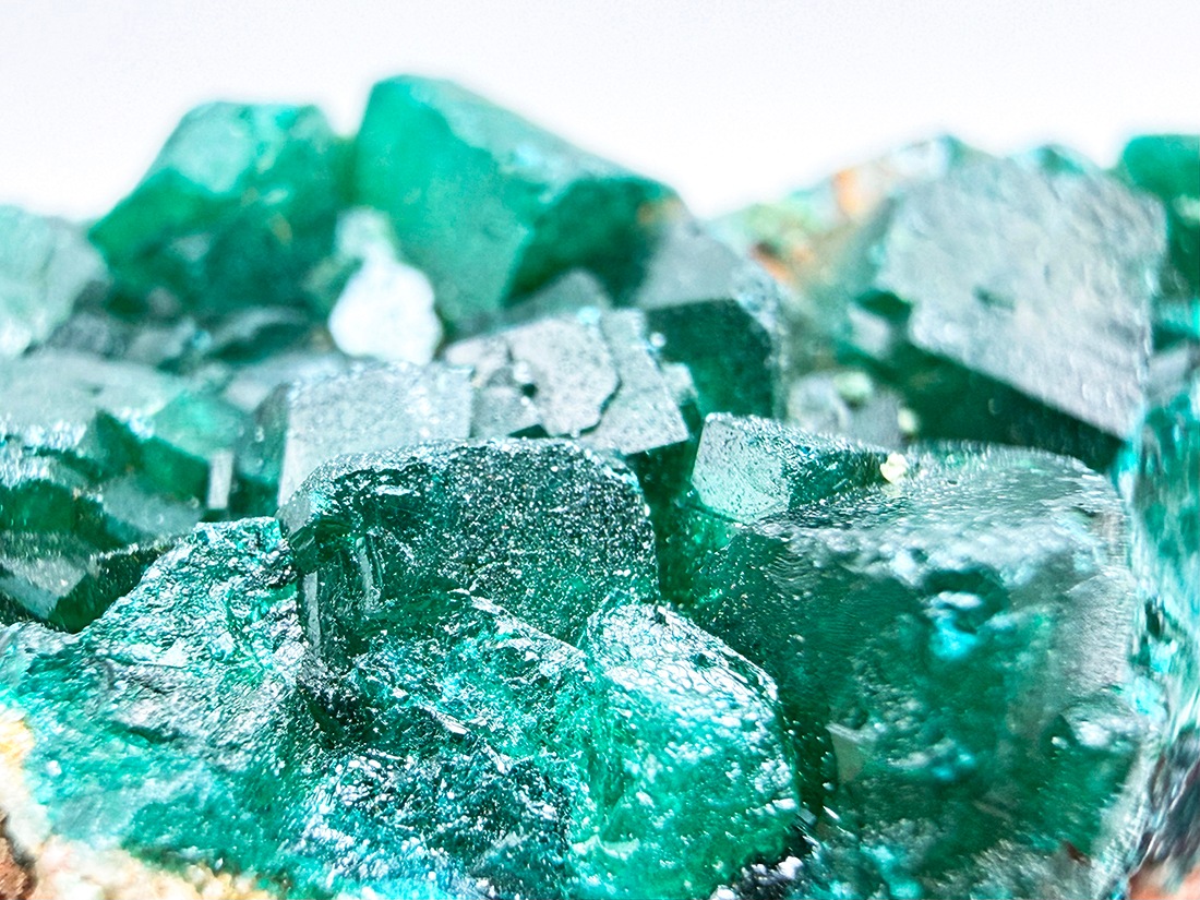コンゴ民主共和国産 ダイオプテーズ (翠銅鉱) 母岩付き / Dioptase