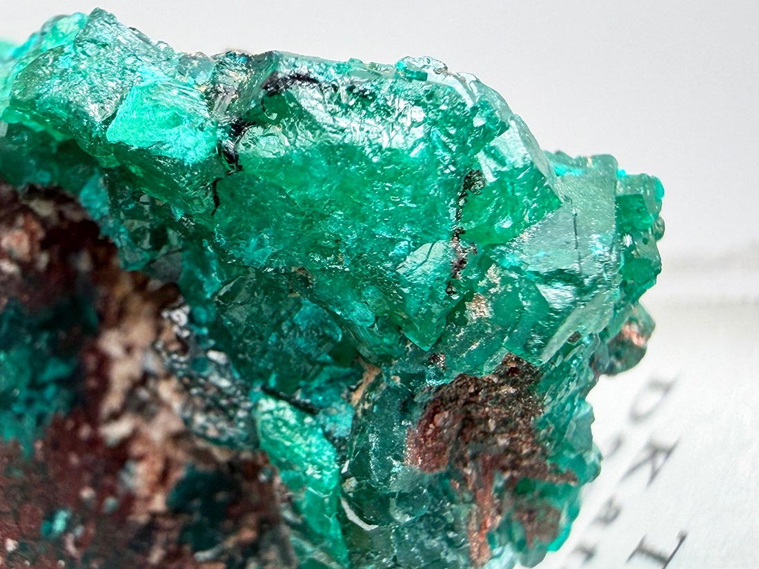コンゴ民主共和国産 ダイオプテーズ (翠銅鉱) / Dioptase