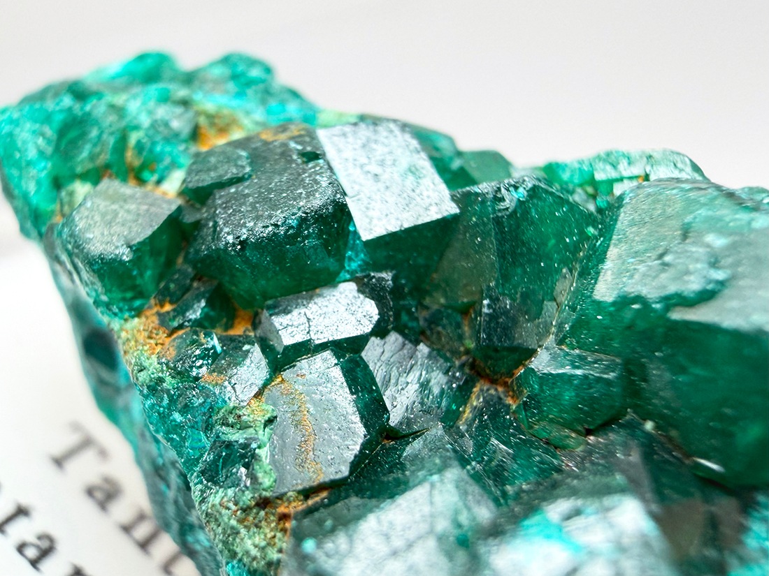 コンゴ民主共和国産 ダイオプテーズ (翠銅鉱) / Dioptase