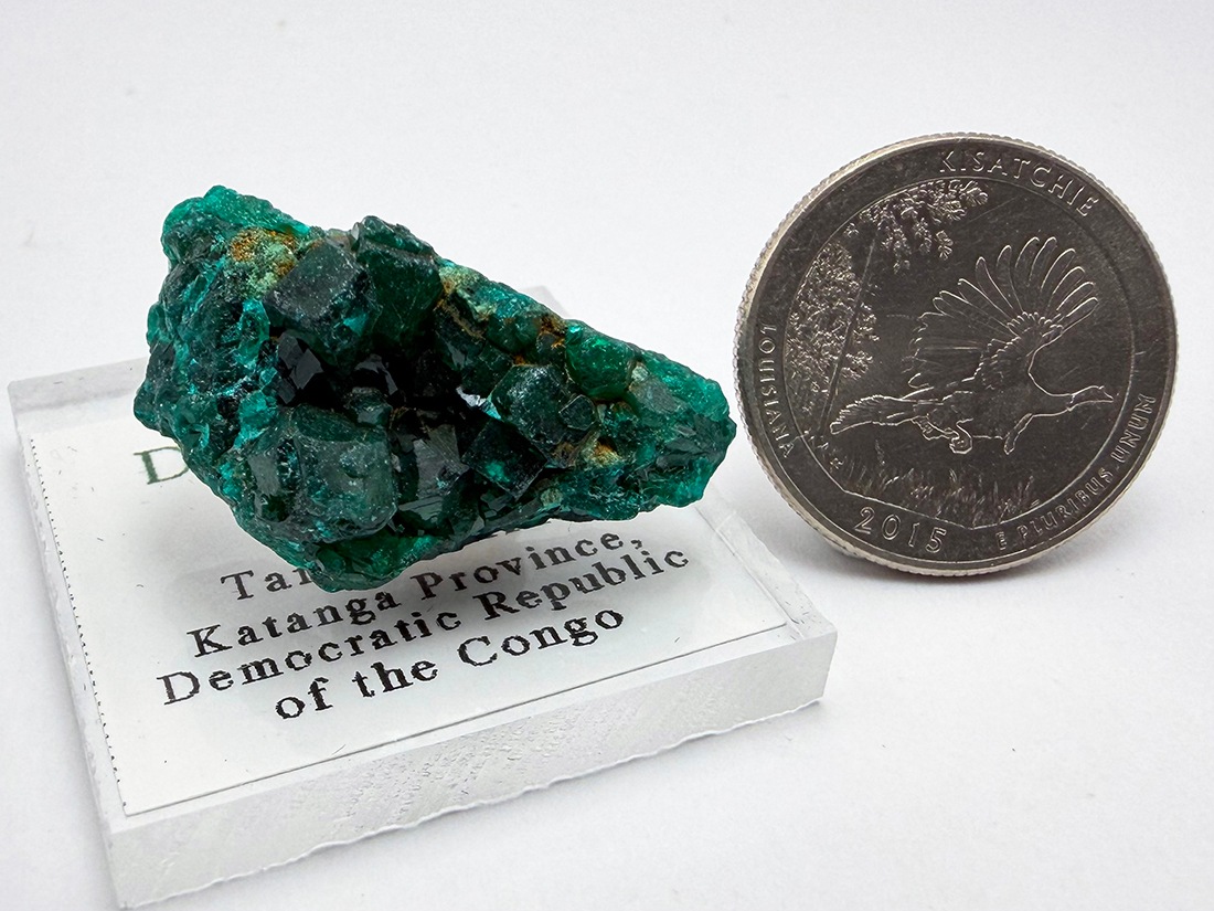 コンゴ民主共和国産 ダイオプテーズ (翠銅鉱) / Dioptase