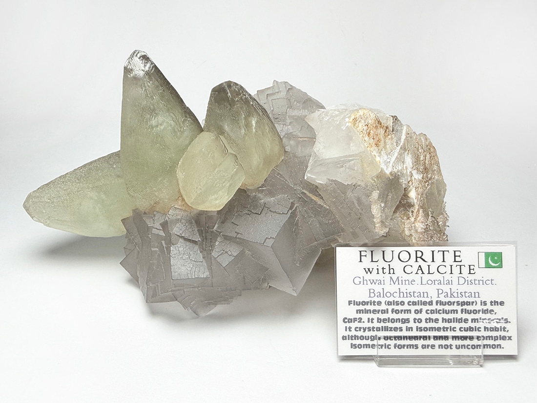 天然石・水晶・鉱物原石専門店 【The Stone of WAKOU】 |