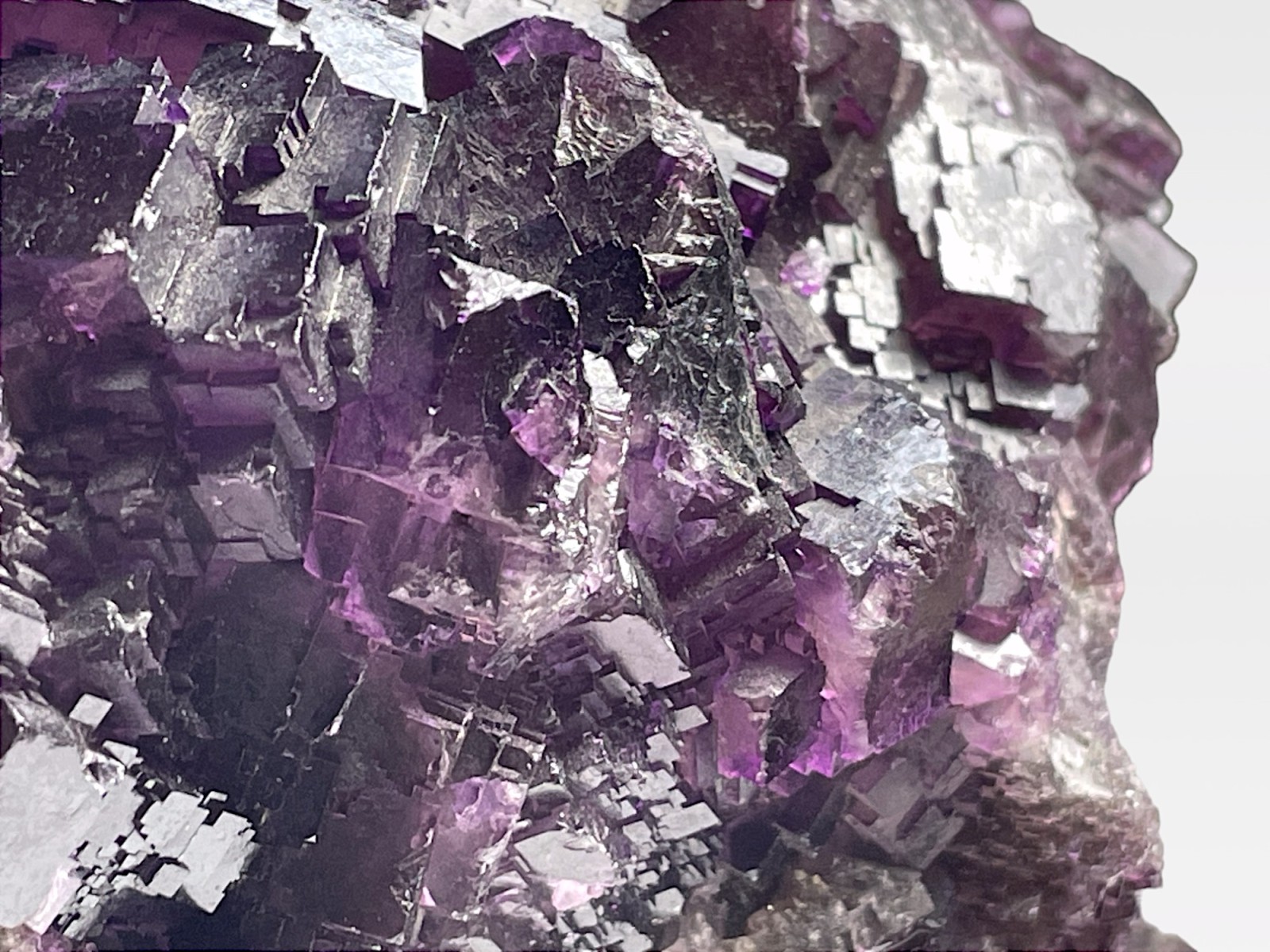 メキシコ産 大型 パープル フローライト / Fluorite