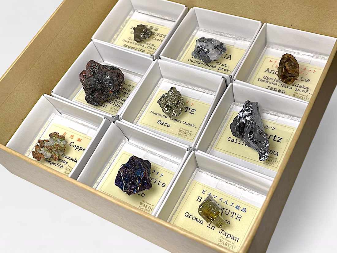 雷の化石 金の箱付き 雷の化石金の箱付き