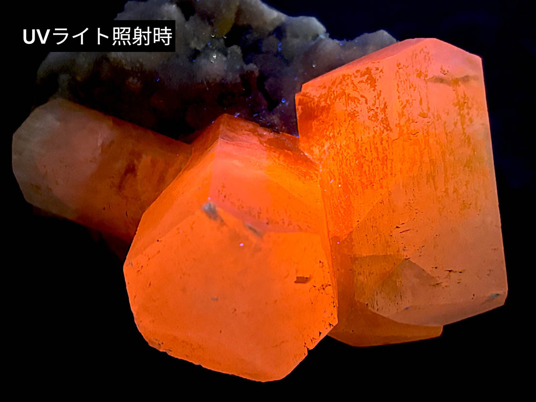 隕石の粉【50g】 くず粉 1kg ( 甘藷澱粉 / 本くず粉 / くずもち / 葛餅