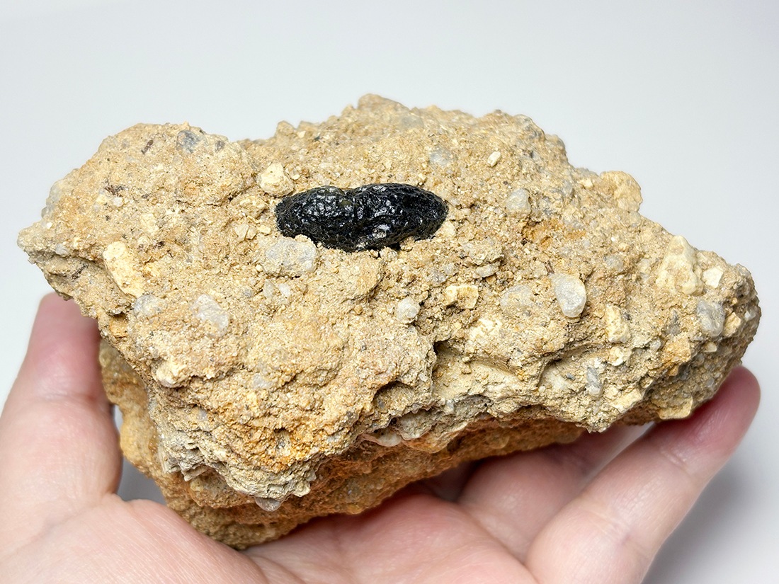 レア】チェコ産 母岩付きモルダバイト / Moldavite
