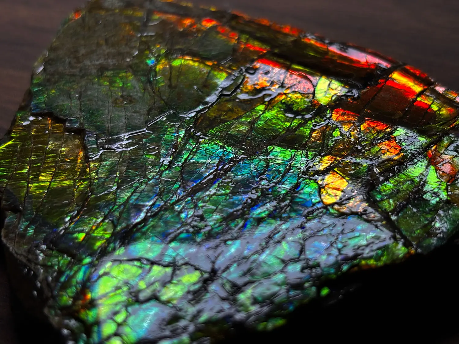 カナダ・アルバータ州産 アンモライト / Ammolite