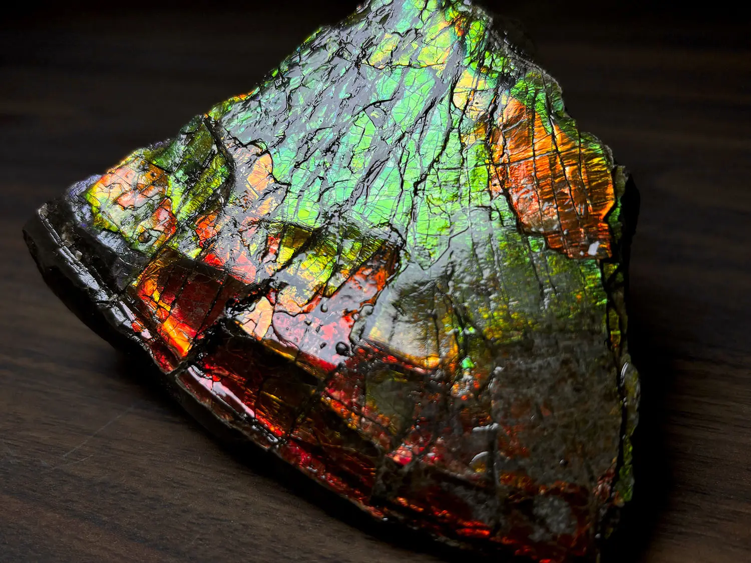 カナダ・アルバータ州産 アンモライト / Ammolite