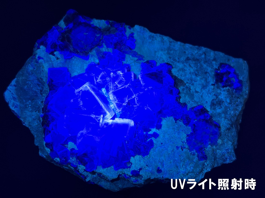 【鉱物商店】青い蛍石、内モンゴル産 内モンゴル産 フローライト ( 蛍石 )/ Fluorite
