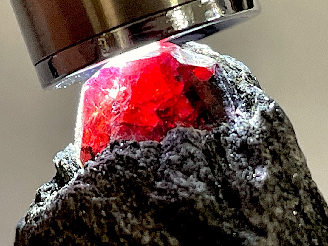 交渉可 やすれ イタリアMontana社 牛 1mm ダークカーキ 