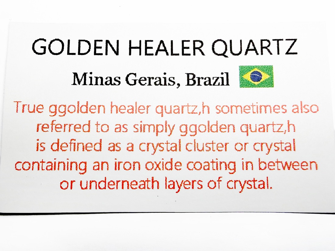 ブラジル産 ゴールデンヒーラー 3個セット / Golden Healer