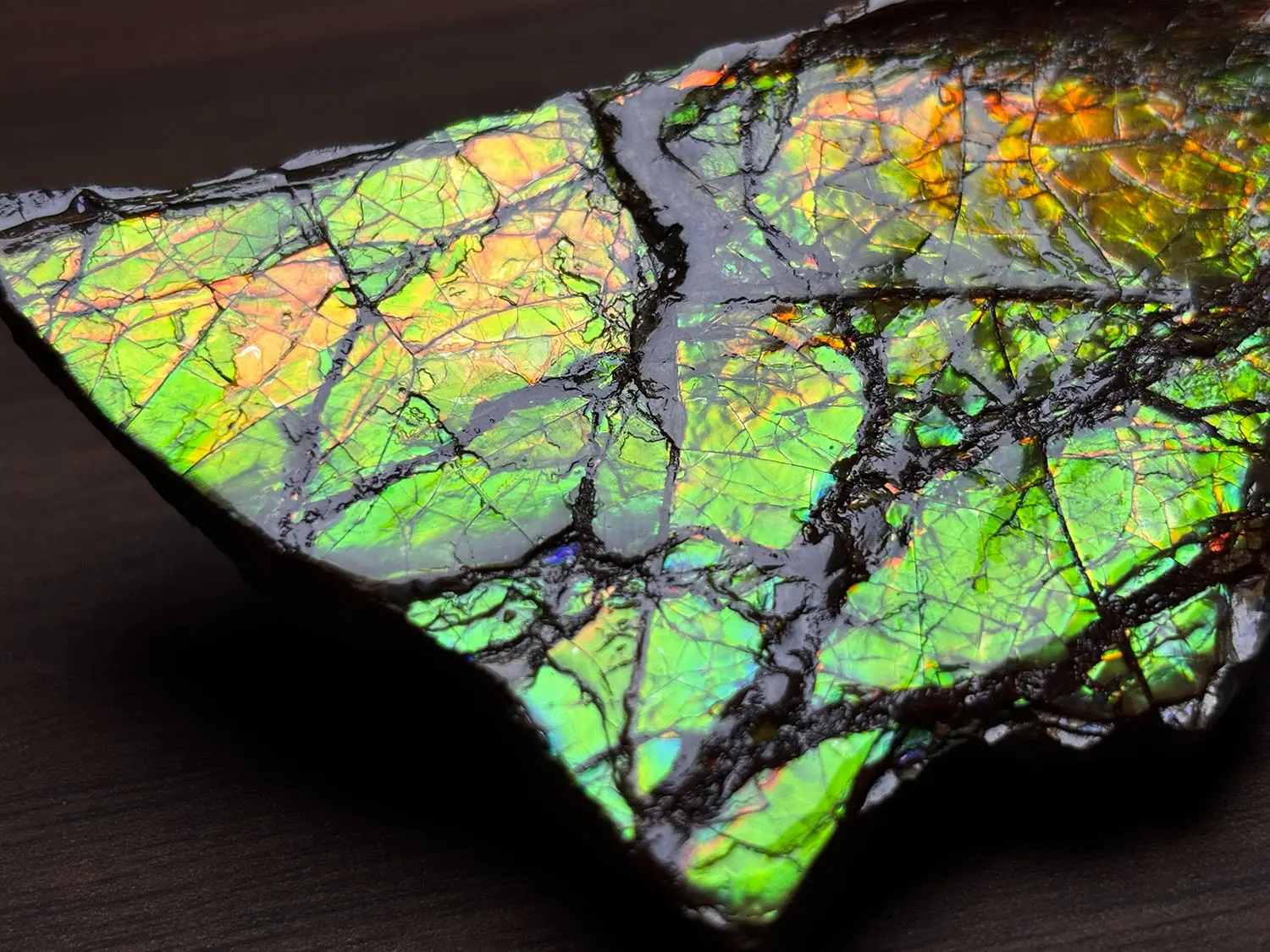 カナダ産　アンモライト約19.2g 約19.2g 2個セット　箱入り カナダ・アルバータ州産 アンモライト / Ammolite