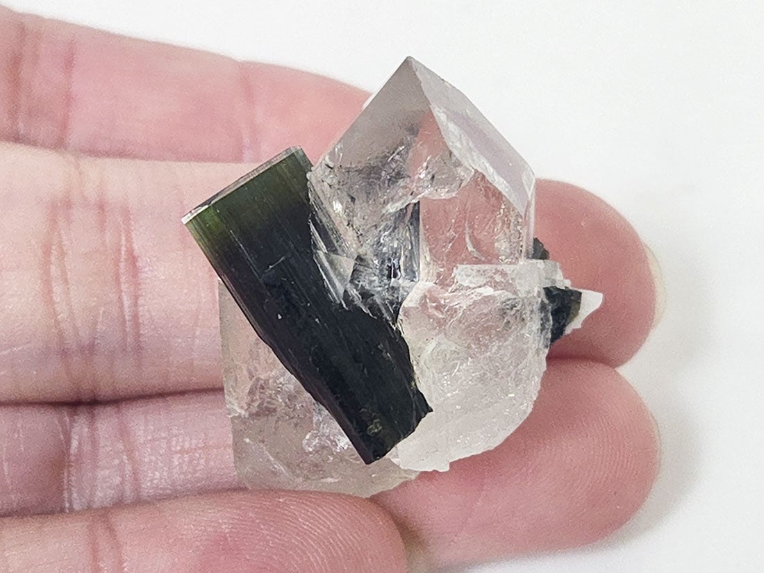 アフガニスタン産バイカラートルマリン/Bicolor Tourmaline (リチア電気石)
