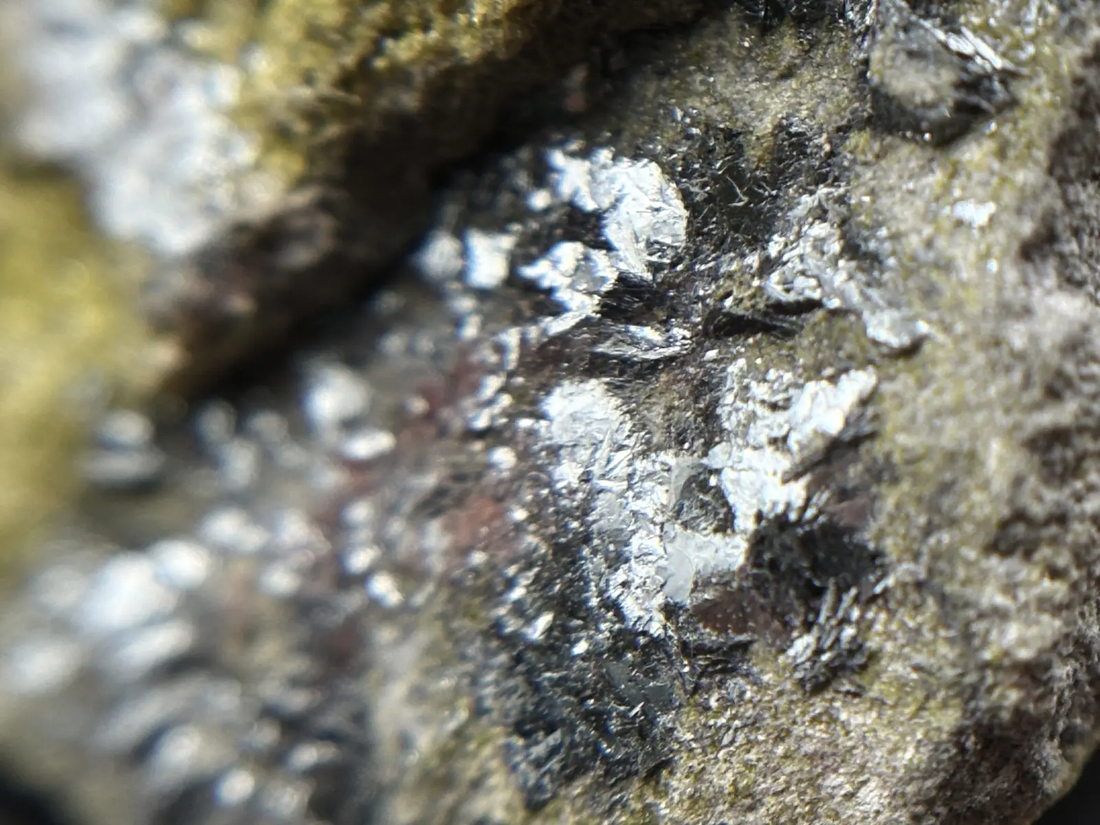 和賀仙人鉱山産 鏡鉄鉱 (赤鉄鉱)with緑簾石 / Specularite with Epidote