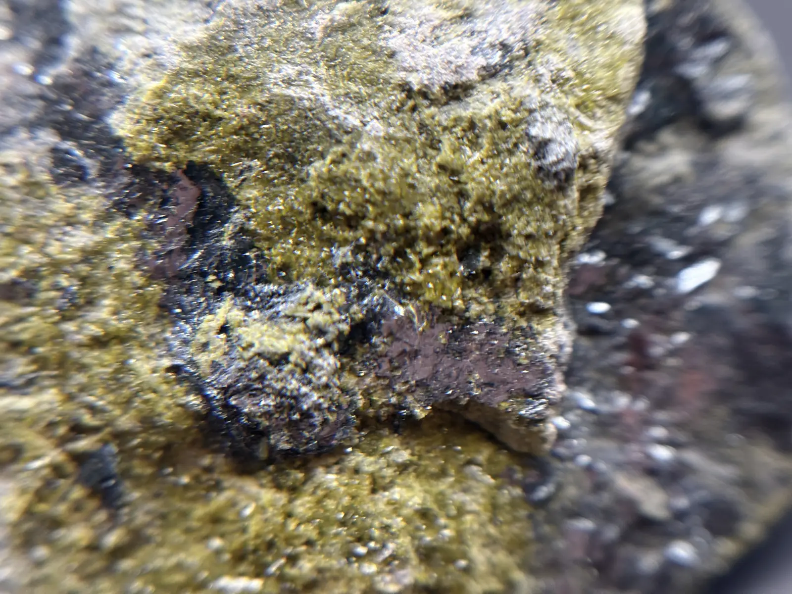 和賀仙人鉱山産 鏡鉄鉱 (赤鉄鉱)with緑簾石 / Specularite with Epidote