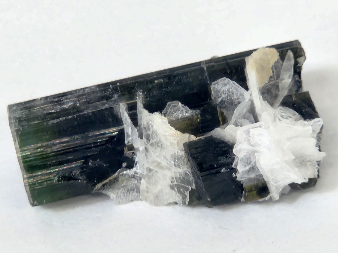 アフガニスタン産　リチア電気石　バイカラートルマリン アフガニスタン産バイカラートルマリン/Bicolor Tourmaline