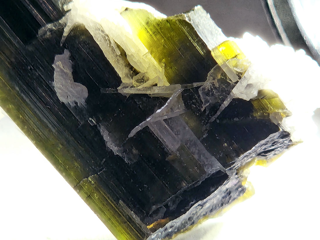 アフガニスタン産バイカラートルマリン/Bicolor Tourmaline