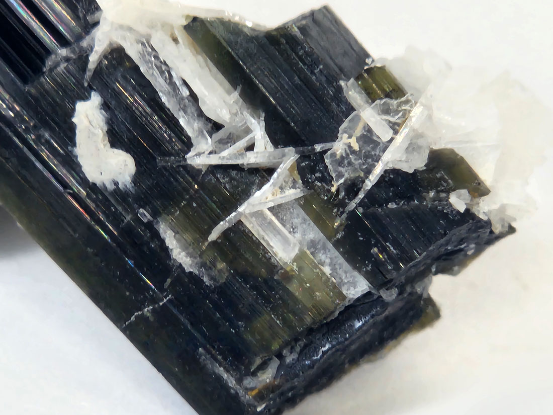 アフガニスタン産バイカラートルマリン/Bicolor Tourmaline