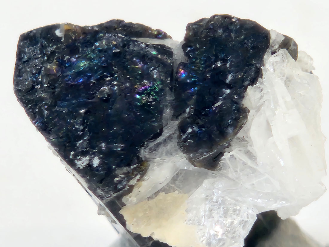 アフガニスタン産バイカラートルマリン/Bicolor Tourmaline