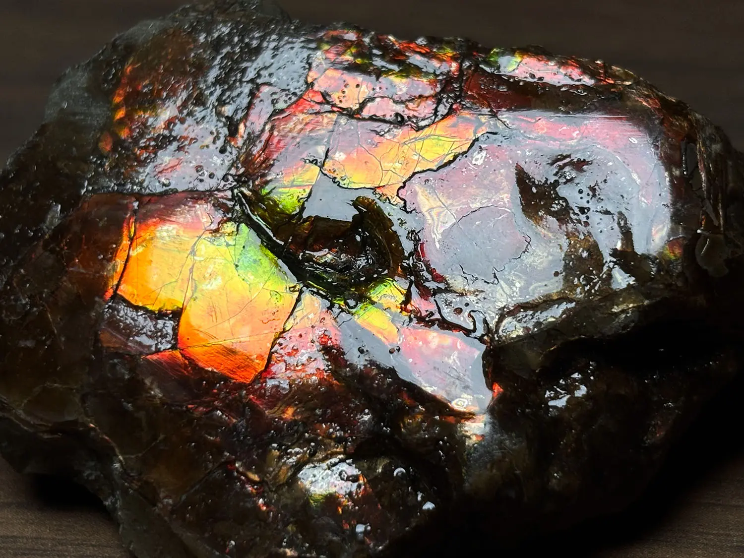 カナダ・アルバータ州産 アンモライト / Ammolite
