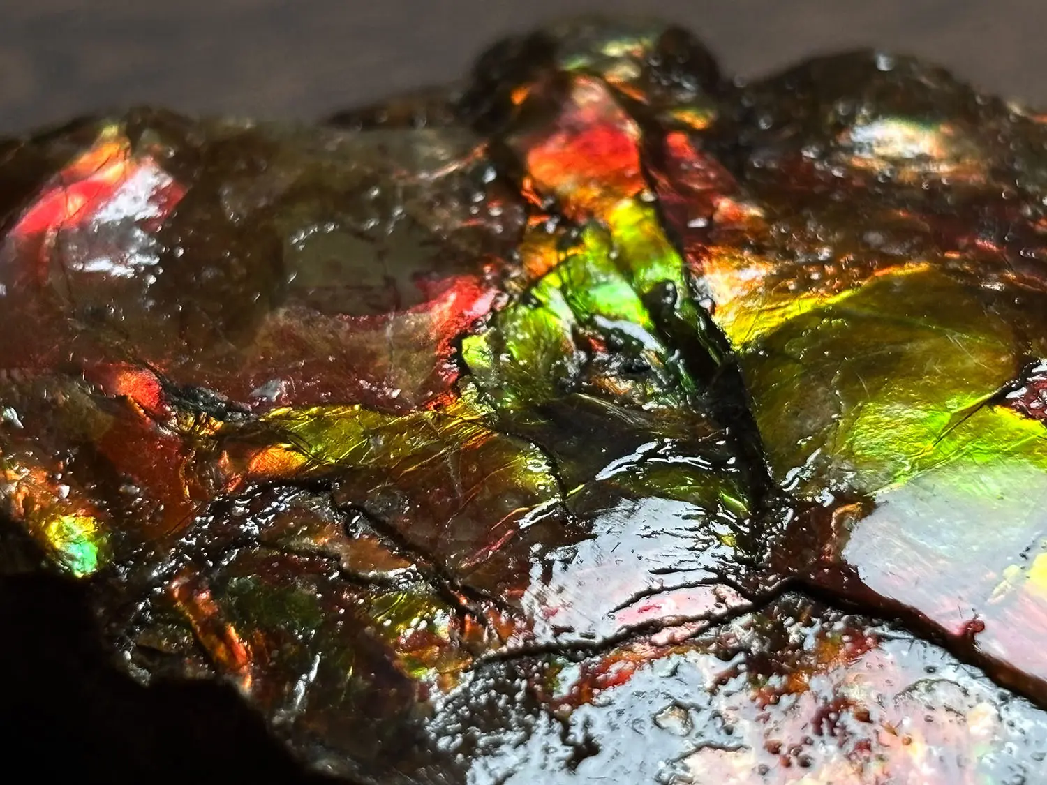 カナダ・アルバータ州産 アンモライト / Ammolite