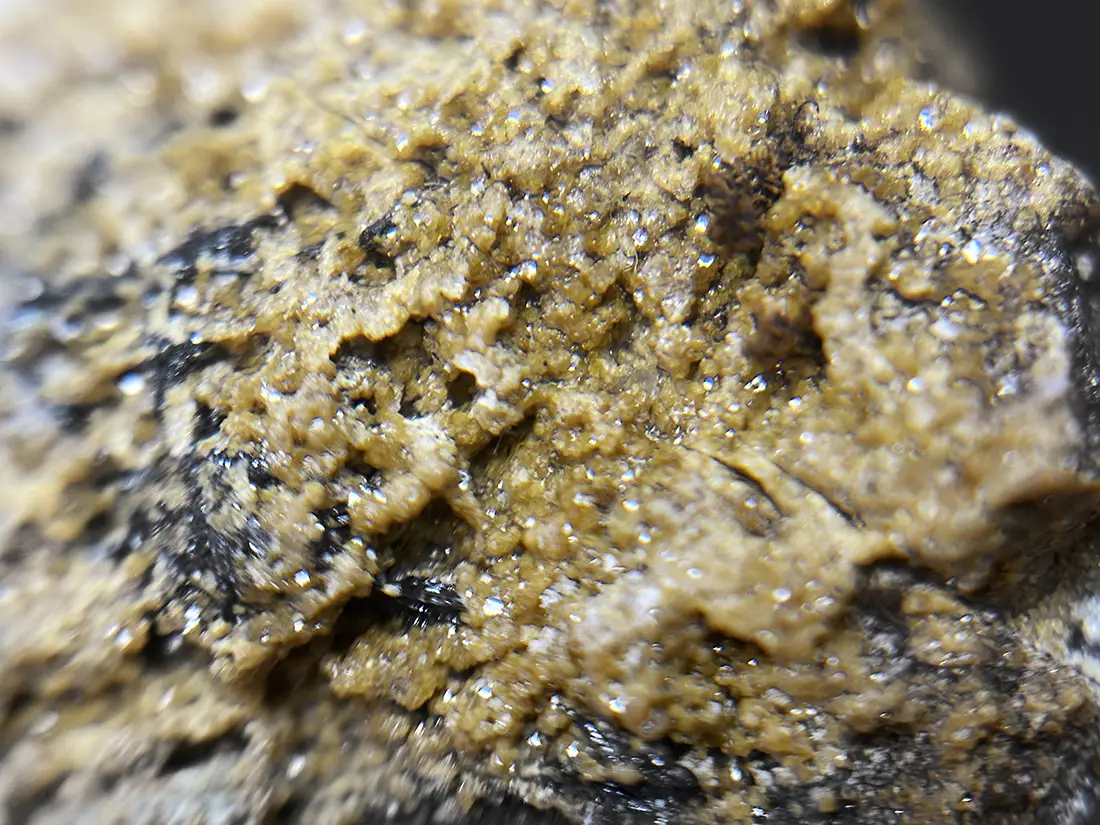 和賀仙人鉱山産 鏡鉄鉱 (赤鉄鉱)with灰鉄柘榴石 / Specularite with