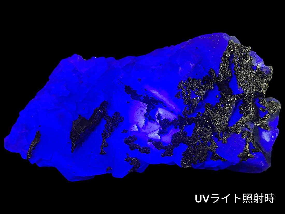 福建省産 フローライト (パイライト/マーカサイト共生) / Fluorite